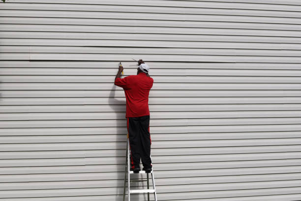 Best Custom Trim and Detailing for Siding  in Kennesaw, GA
